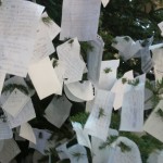 Buon anno dall'albero dei desideri di Barbaro nella Galleria Umberto di Napoli