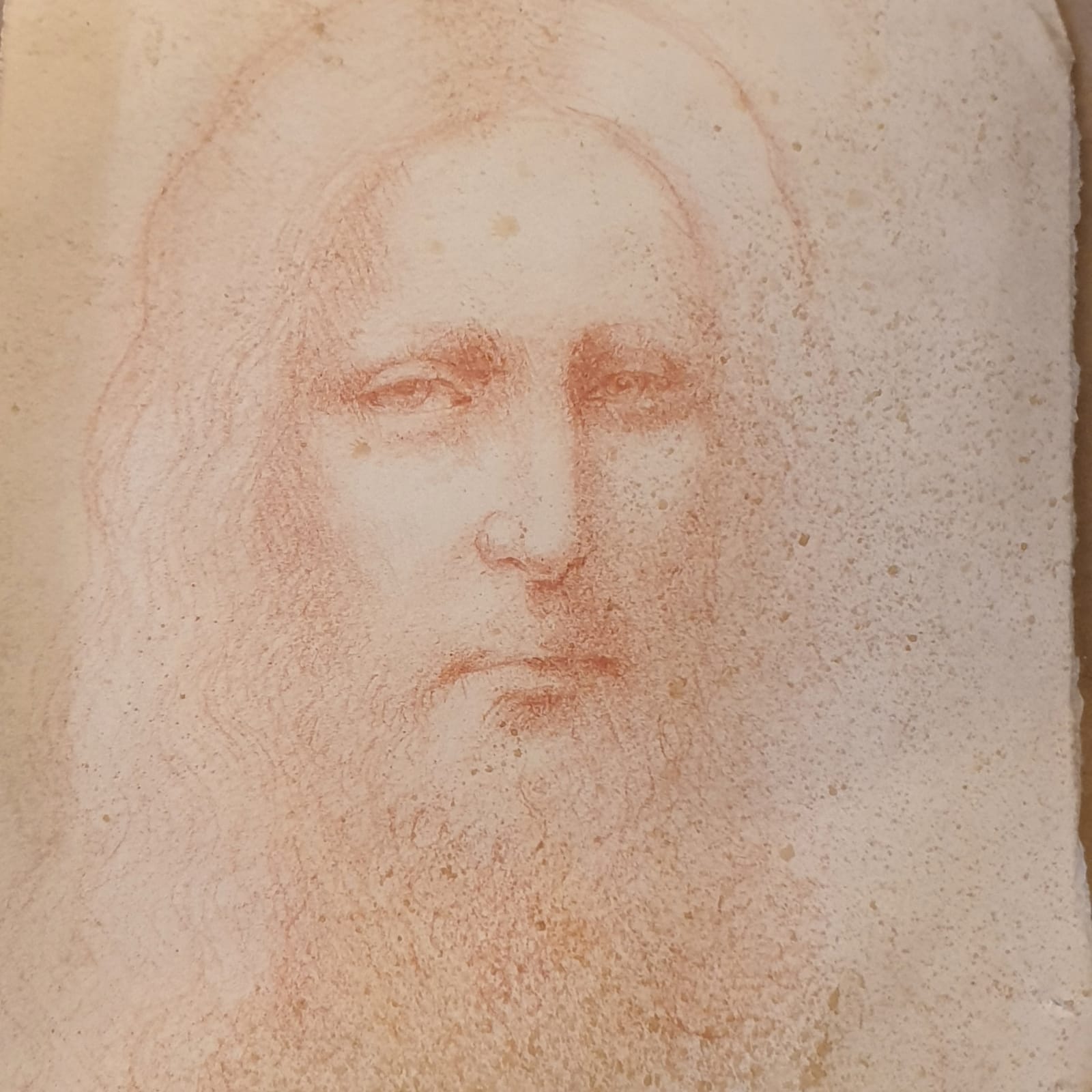 La scoperta di un disegno di Leonardo da Vinci