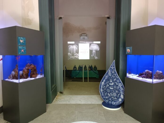 Fondazione Dohrn, all'Aquarium "Il Mare in una goccia"