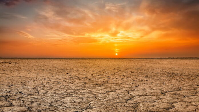 Caldo record, l'allarme: "Pianeta sull'orlo del baratro"