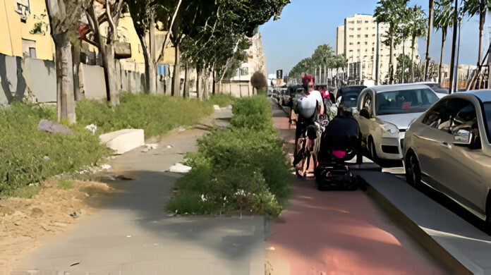 Napoli e il verde urbano