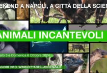 Città della Scienza, il weekend del 5 e 6 ottobre è dedicato al mondo degli animali