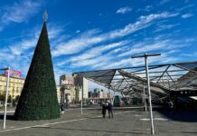 Napoli, albero di Natale in piazza Garibaldi: il 6 dicembre l'accensione