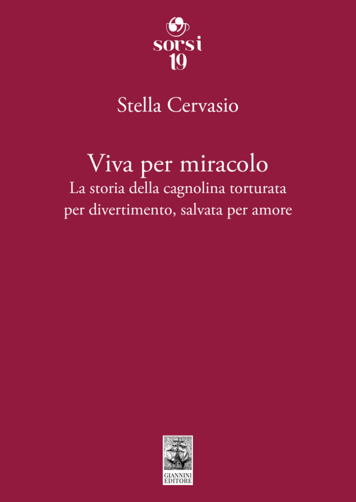 Torna in libreria la giornalista Stella Cervasio con il libro “Viva per miracolo”